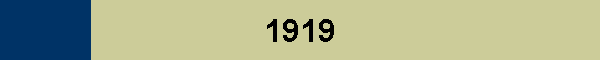 1919