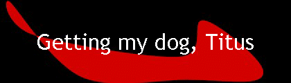 Getting my dog, Titus