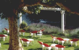 jardin.jpg (15657 octets)